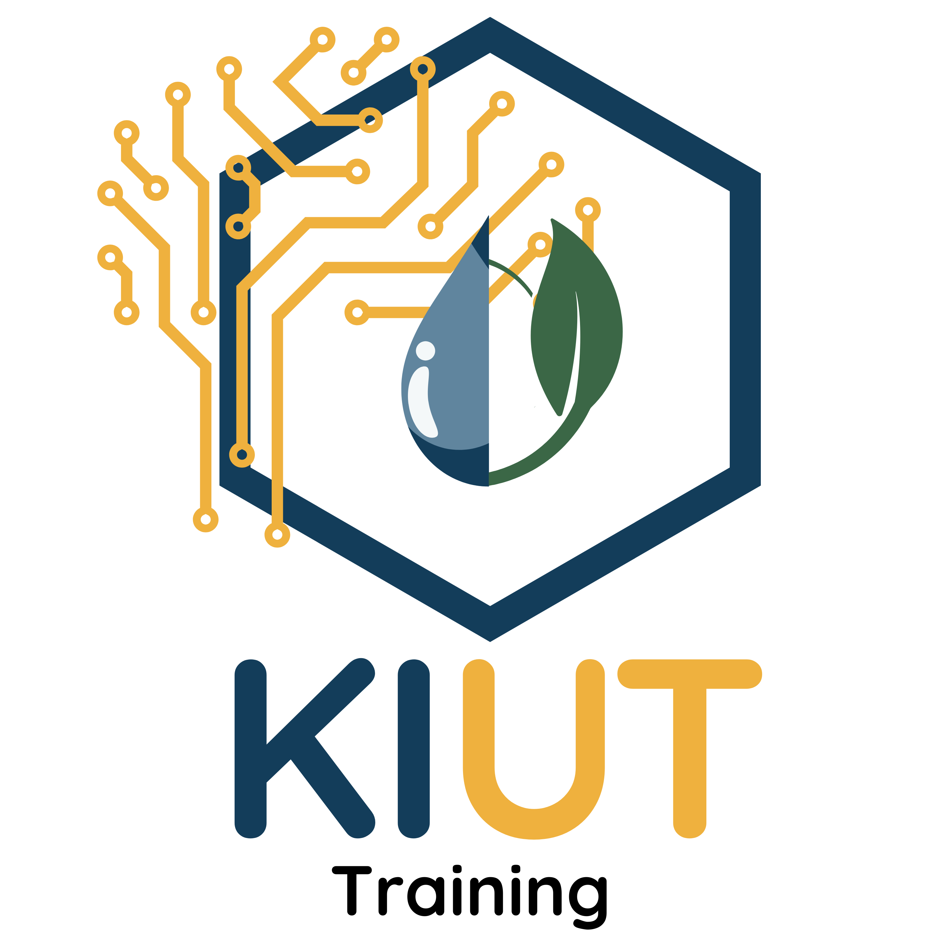 Logo KIUT3